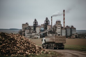 Nijemci daju milijardu kuna za šećeranu Viro