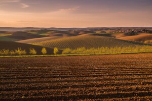 Niknut će voćnjaci, vinova loza i žitarice