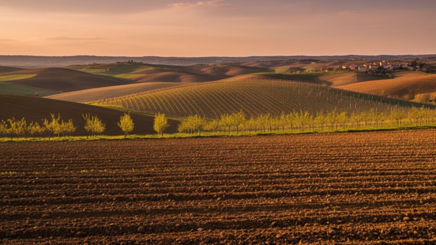 Niknut će voćnjaci, vinova loza i žitarice