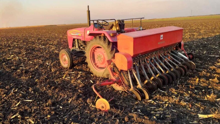 Seme, đubrivo, gorivo... Koliko će da košta setva pšenice ove godine?