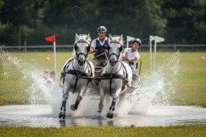 Nikola Vidačić je jednostavno najbolji
