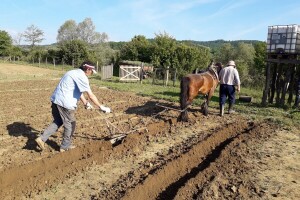 Instinkt u (agro)biznisu ne postoji!