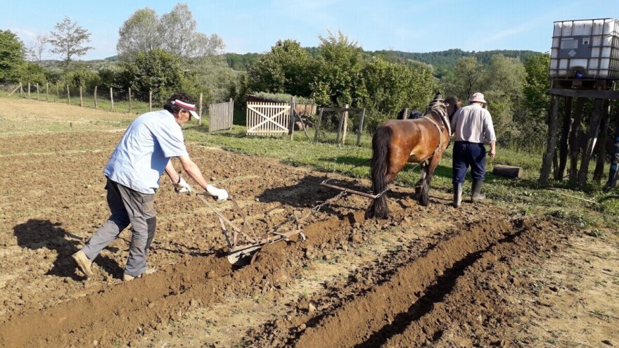 Instinkt u (agro)biznisu ne postoji!