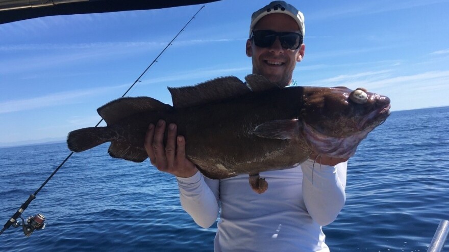 Najulov Nina Jukića: Istom udicom upecao orijašku tabinju i vanbrodski motor Yamaha!