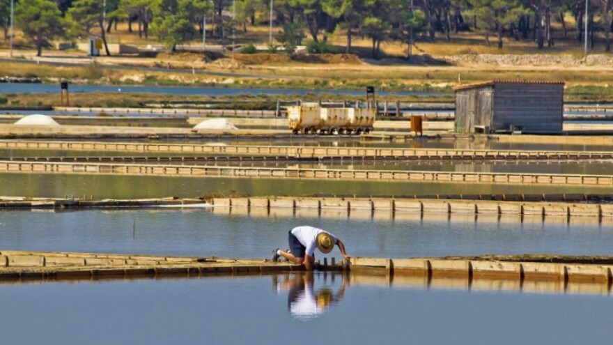 Festival soli u Ninu!