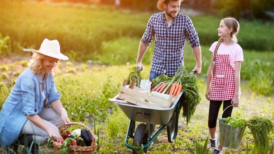 Niš: Pomoć mladim bračnim parovima