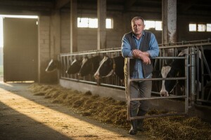 Niska cena koči proširenje proizvodnje mleka