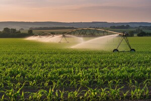 Niska konkurentnost poljoprivrednih proizvoda
