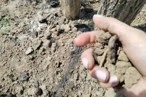 Mali Izvor: Vode nema, a kad je ima - nije bakteriološki ispravna