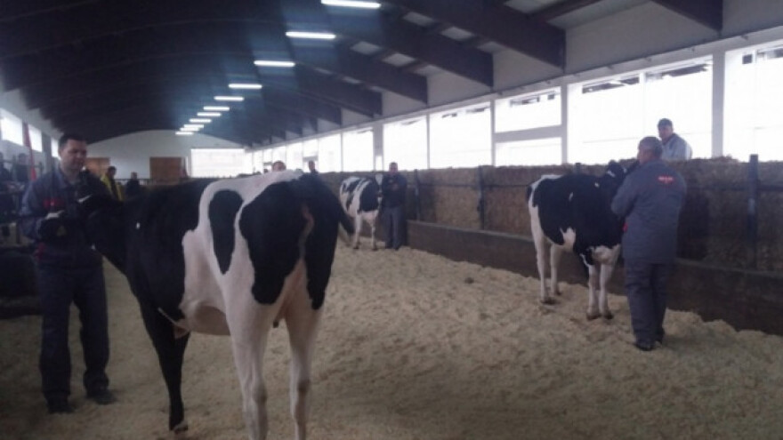 Postoji rješenje za primjenu Nitratne direktive