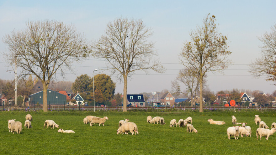 Što Nizozemska potiče u poljoprivredi?