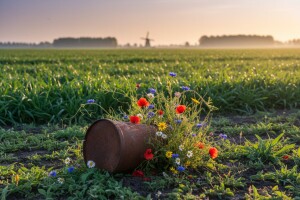 Nizozemska zabranila Monsantov pesticid