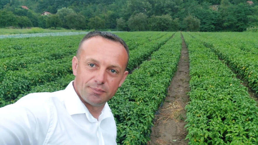 "Kralj paprike" sa 40.000 sadnica: Ovo mi je zanimacija