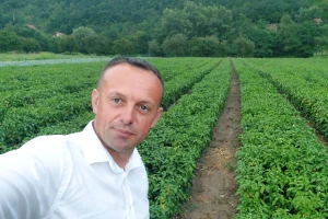 Njegoš sa 40.000 sadnica paprike: "Ovo mi je zanimacija"