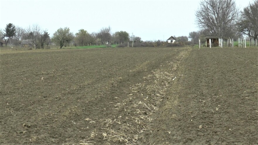 Anđelko Mišković: Poljoprivredna proizvodnja ne sme da stane, ali nosite radne naloge