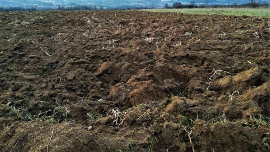 Kalcifikacija suzbija 'ćelava' mesta na njivama