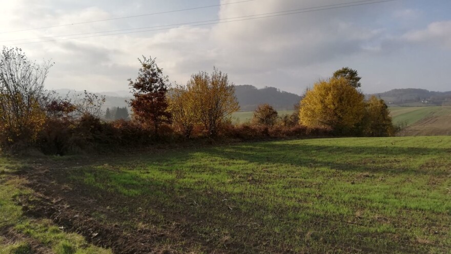 Ozimi usjevi: Dovoljno je vlage, neće biti štete usljed niskih temperatura