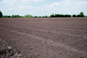 Hektar zemlje u Banatu košta najviše 6.000 evra