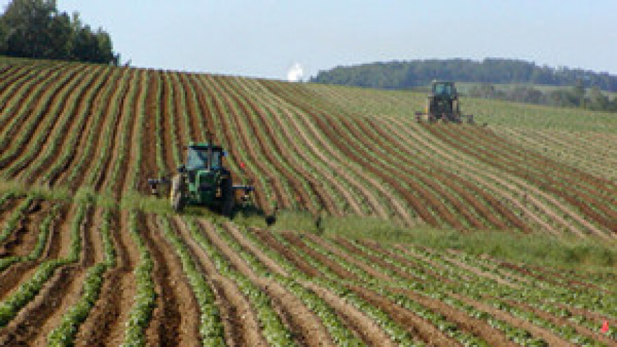 Novac samo onima kojima je suša uništila više od 80% usjeva