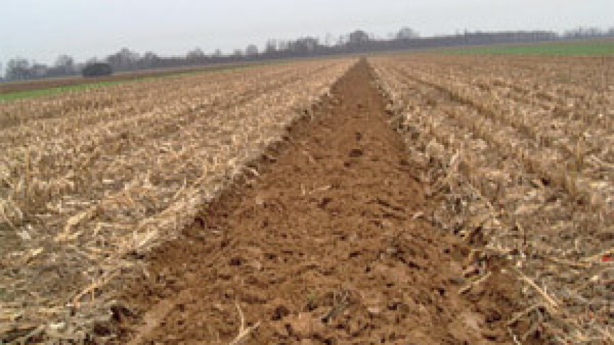 Zašto treba zaorati slamu i kukuruzovinu?