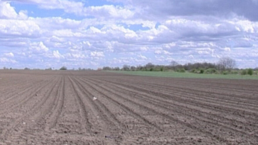 Imaš njivu i šta sad?