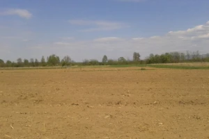 Zadrugarstvo za opstanak mladih na selu