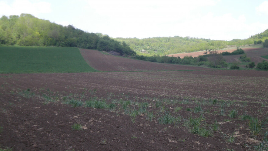 15 investitora želi državnu zemlju