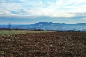 Grad Valjevo plaća milionske odštete naslednicima oduzetog zemljišta?