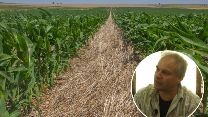 Švajcarac Reto Stocker kupio zemlju u Mađarskoj i tamo primjenjuje znanje o obradi zemljišta bez oranja