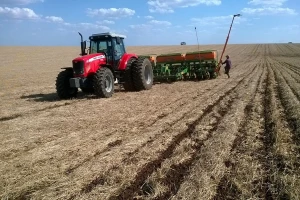 Soja i kukuruz iz no till koncepta - iskustva iz Brazila