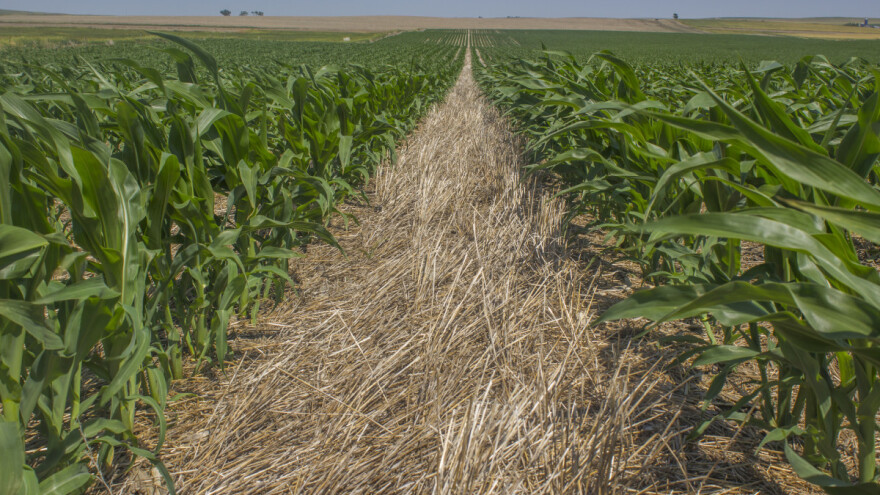 Stoker: Zemljište je osnova svega