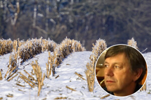 Thomas: No till je remek djelo poljoprivrede