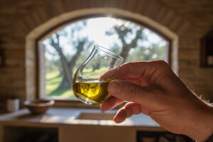 Noćnjak 2015 - predaja uzoraka maslinovog ulja