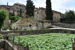 Mediteranska poljoprivredna politika i demografija tema su foruma Agromed
