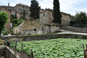 Mediteranska poljoprivredna politika i demografija tema su foruma Agromed