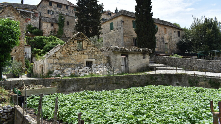 Mediteranska poljoprivredna politika i demografija tema su foruma Agromed