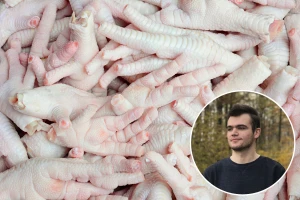Ensar Perčo s 22 godine mjesečno proda 54 tone pilećih nožica na tržištu istočne Azije