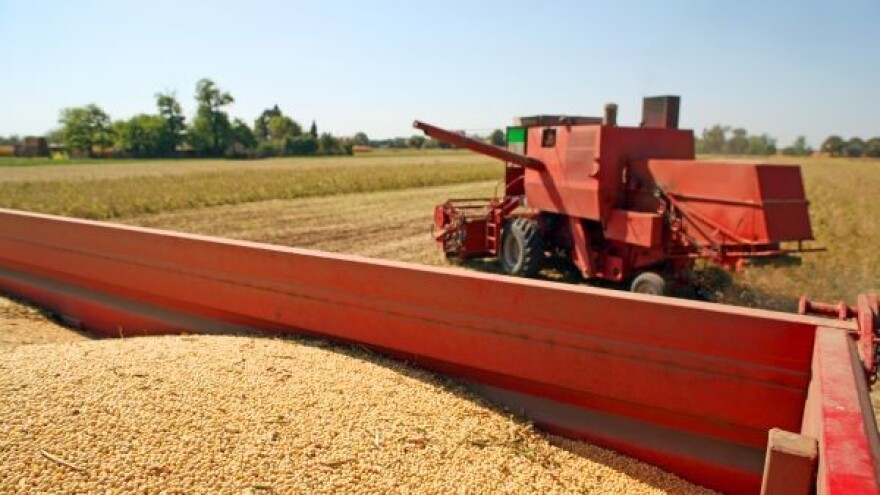 Non GMO soja - vetar u leđa Srbiji!