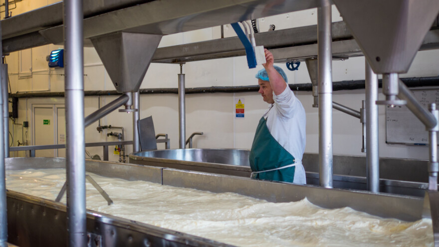 Porasla proizvodnja mleka u EU - a cene?