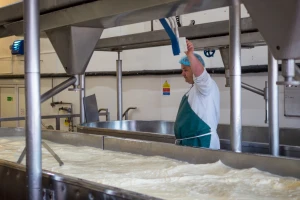 Porasla proizvodnja mlijeka u EU - a cijene?