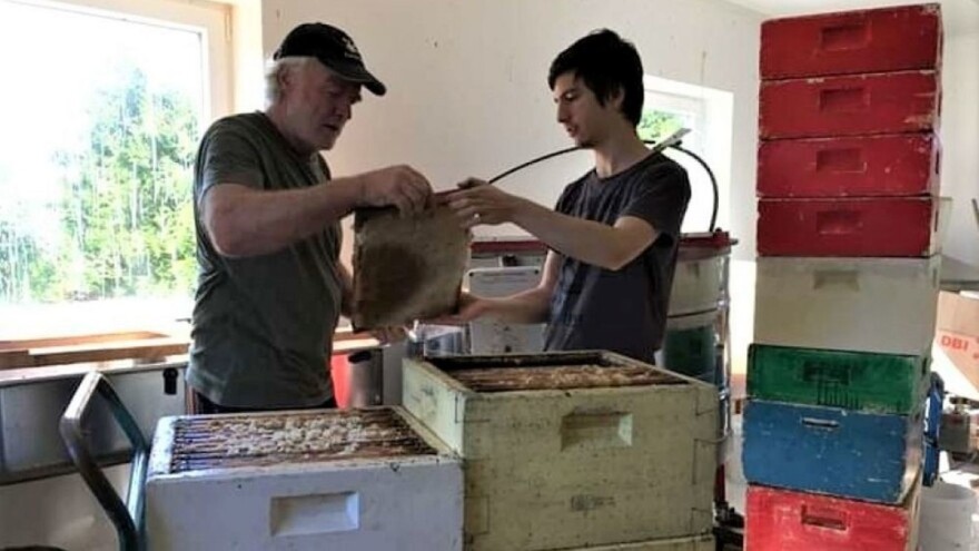 Kako se pčelari u Norveškoj i šta se može primjeniti kod nas?