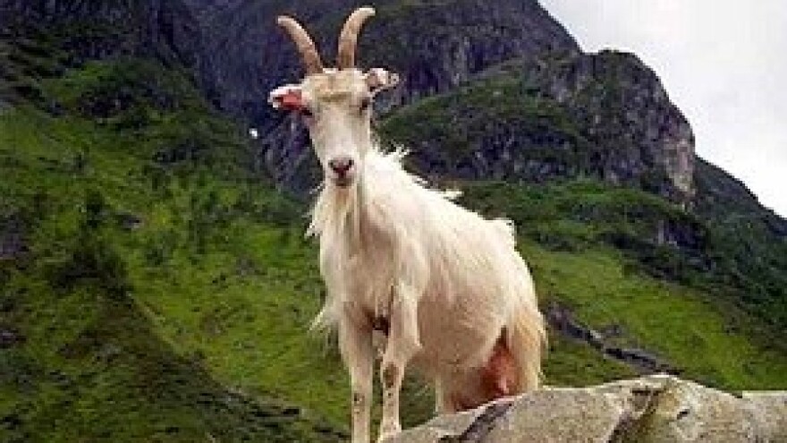 Što nas Norveška može naučiti o poljoprivredi?