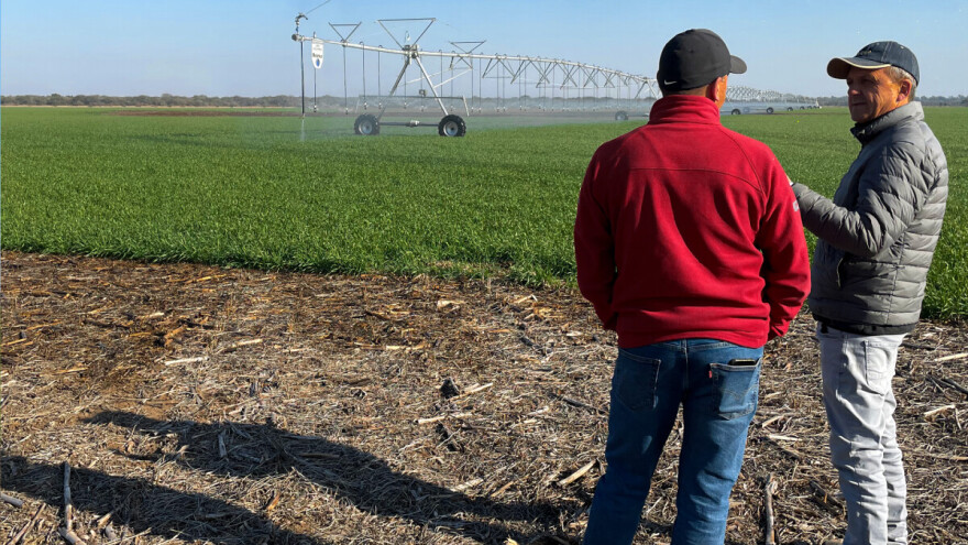 Navodnjavanje postaje nužnost, a ne luksuz. Evo na što obratiti pažnju prilikom odabira