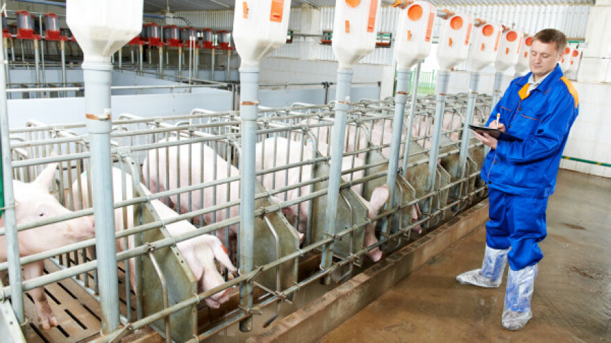 Nova farma za 150.000 tovljenika godišnje