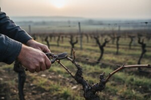 Nova godina, nova prilika