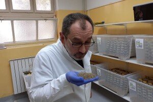 Prva hrvatska farma kukaca, cvrčci i vojnička muha alternativa GMO soji iz Brazila?