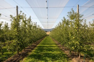 Nova isplata iz IPARD-a