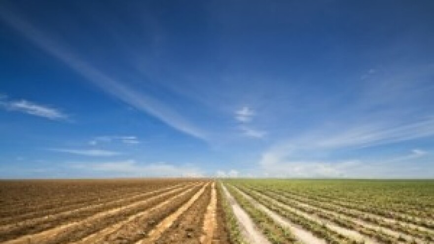 Prodaja poljoprivrednog zemljišta u Općini Nova Kapela