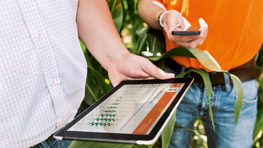 Digitalni alat myKWS modernim proizvođačima olakšava uzgoj kukuruza