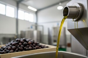 Nova uljara u Metkoviću